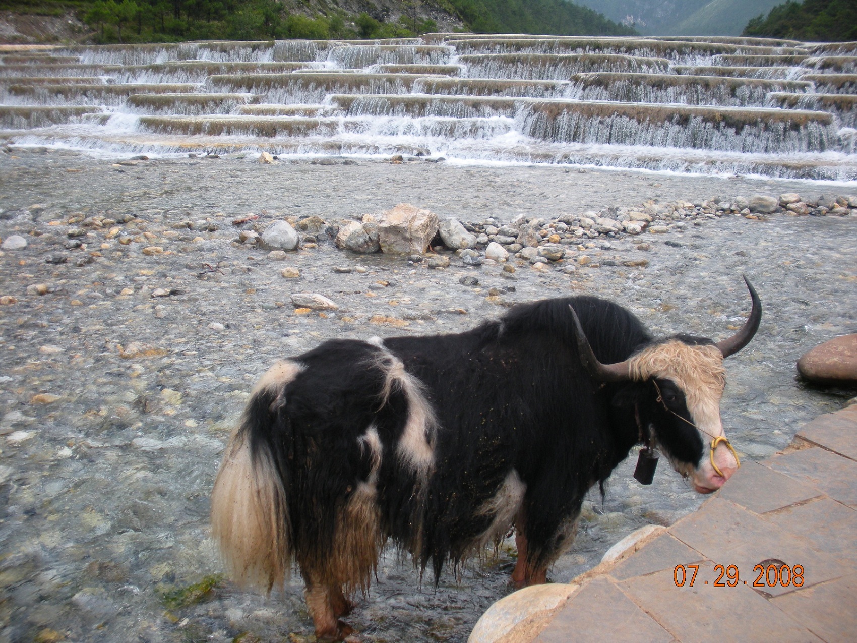 Chinatrip 170.jpg