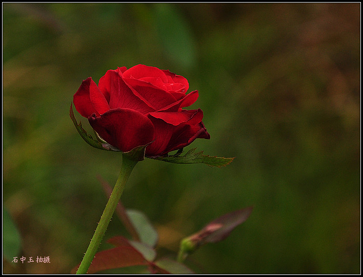 DSC_1149_.jpg