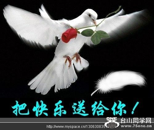 l_90a26f1854abfcb45fa8f73fb1efdbd6.jpg