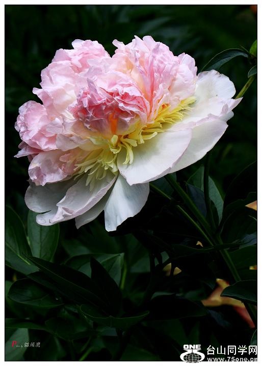 }u -ձ@12-8 364-c.jpg