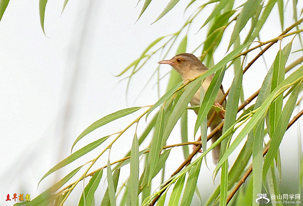 DSC_0668.JPG