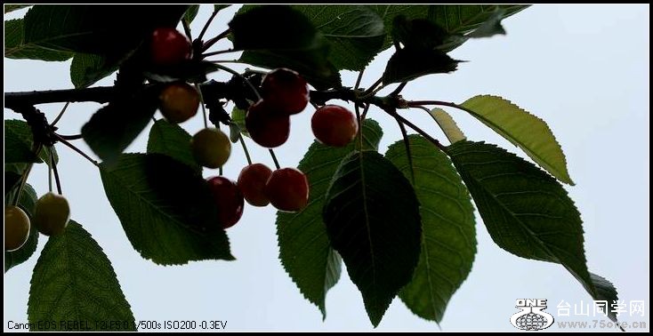 С IMG_4923.JPG