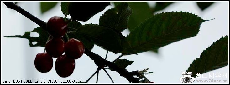 С IMG_4920.JPG