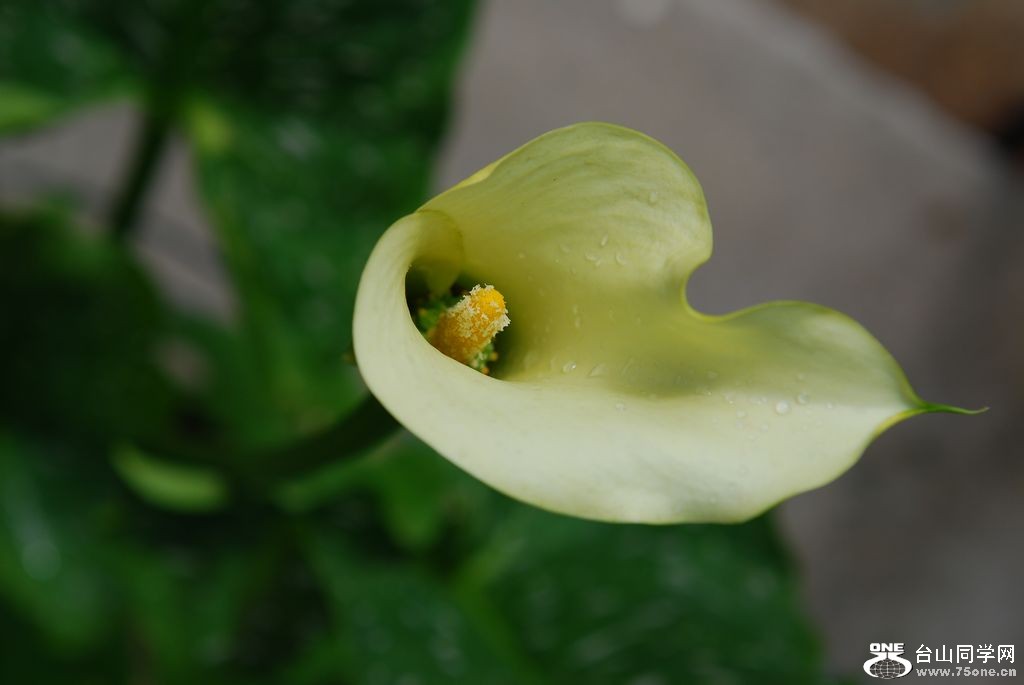 nEO_IMG_DSC_0811.jpg