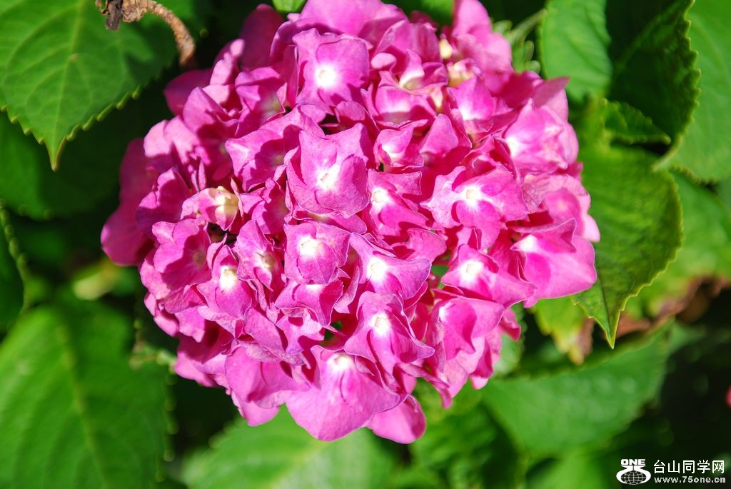 nEO_IMG_DSC_0582.jpg