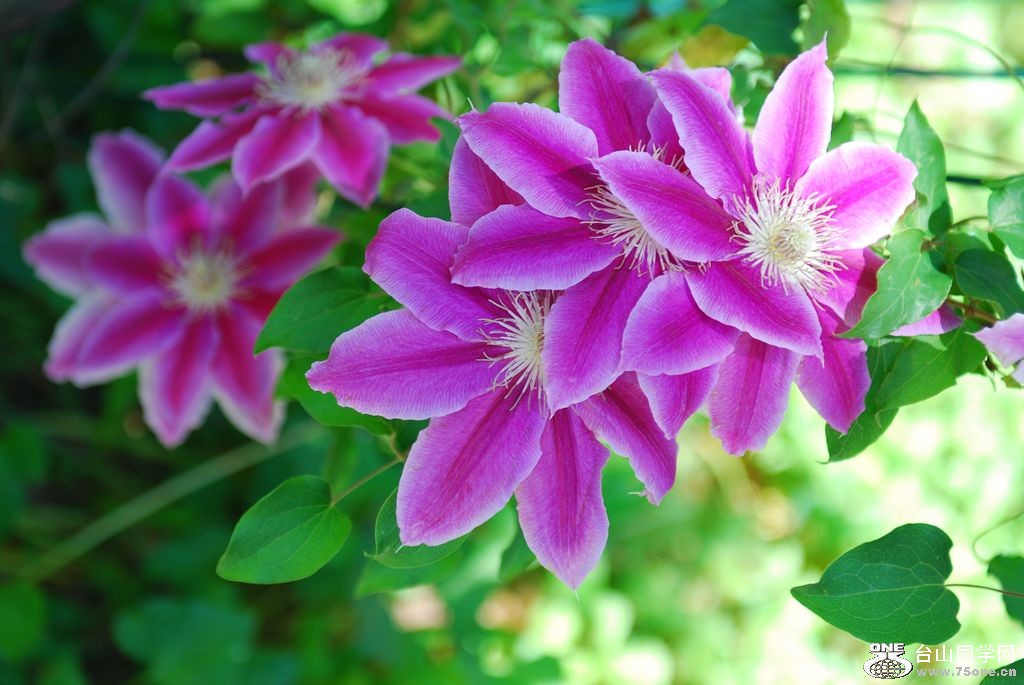 nEO_IMG_DSC_0056.jpg