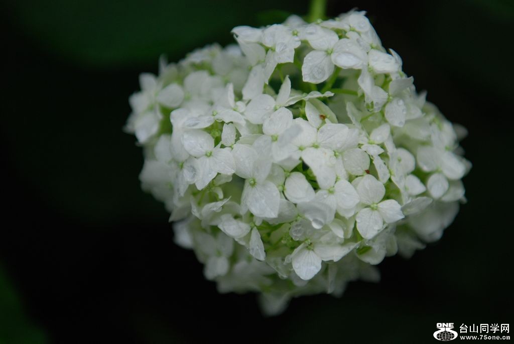 nEO_IMG_DSC_1030.jpg