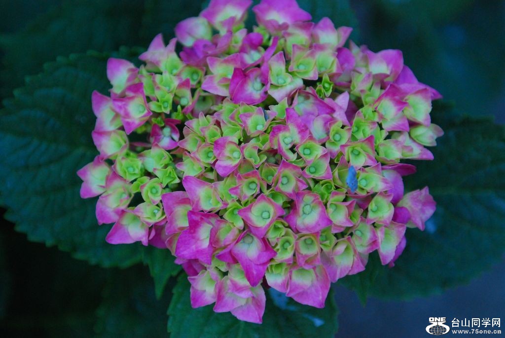 nEO_IMG_DSC_0574.jpg