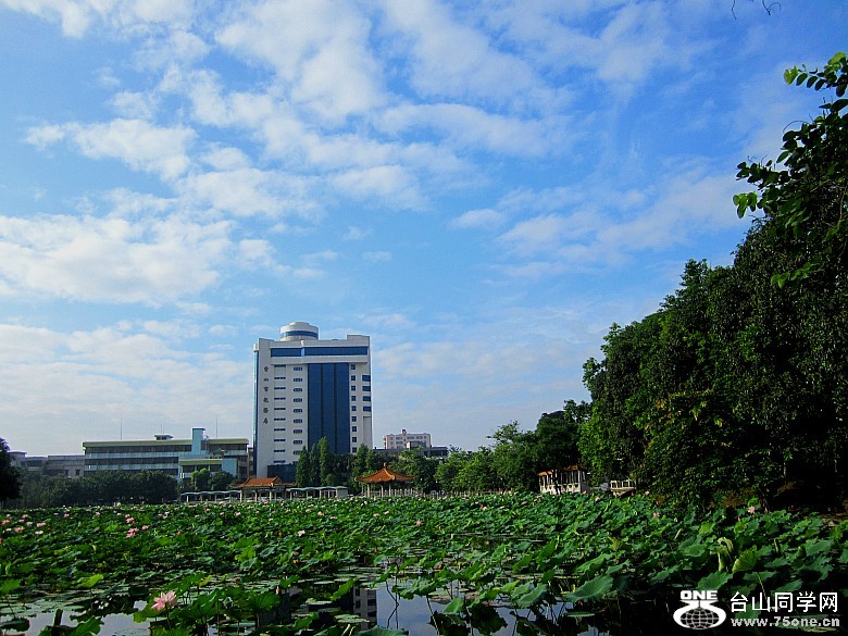 ġɻѧУ12.6.9 231_conew1.jpg