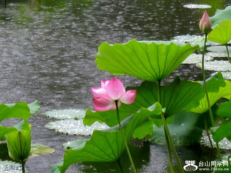 ɻʯ᪡ʨ 056_conew2.jpg