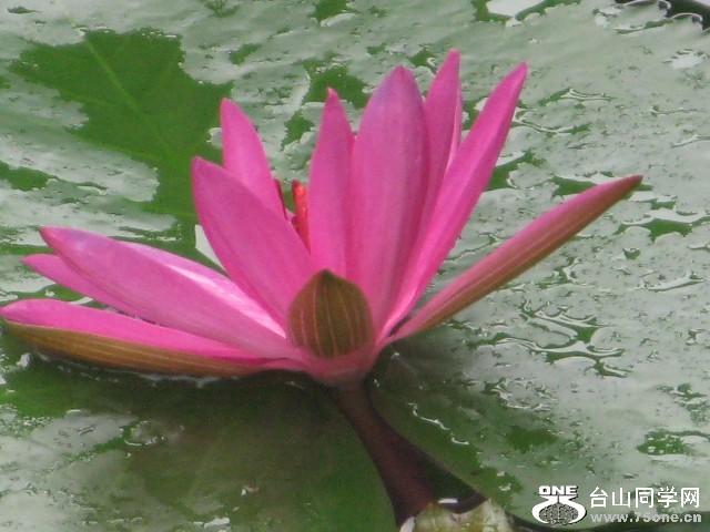 IMG_3186.jpg
