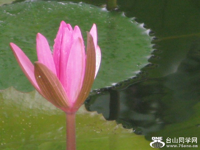 IMG_3180.jpg