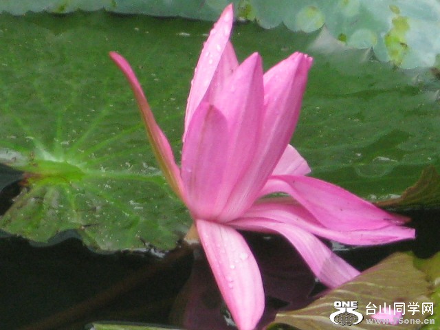 IMG_3181.jpg
