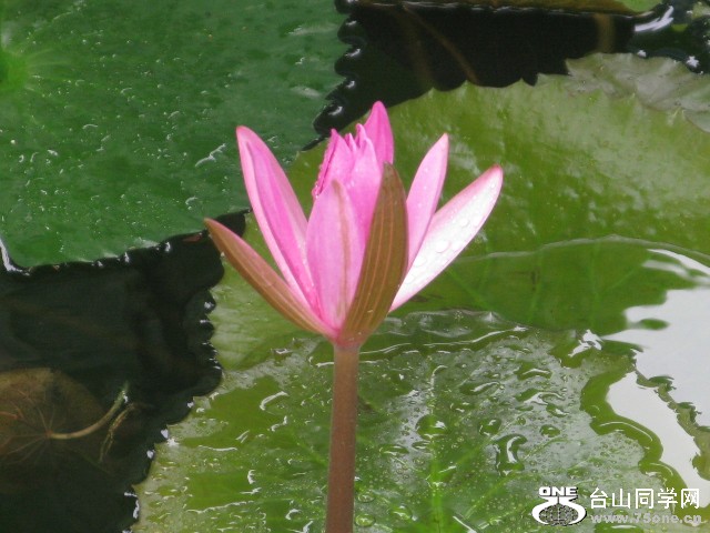 IMG_3184.jpg
