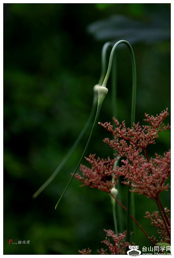 }u -ֻ߽-2 248-a.jpg