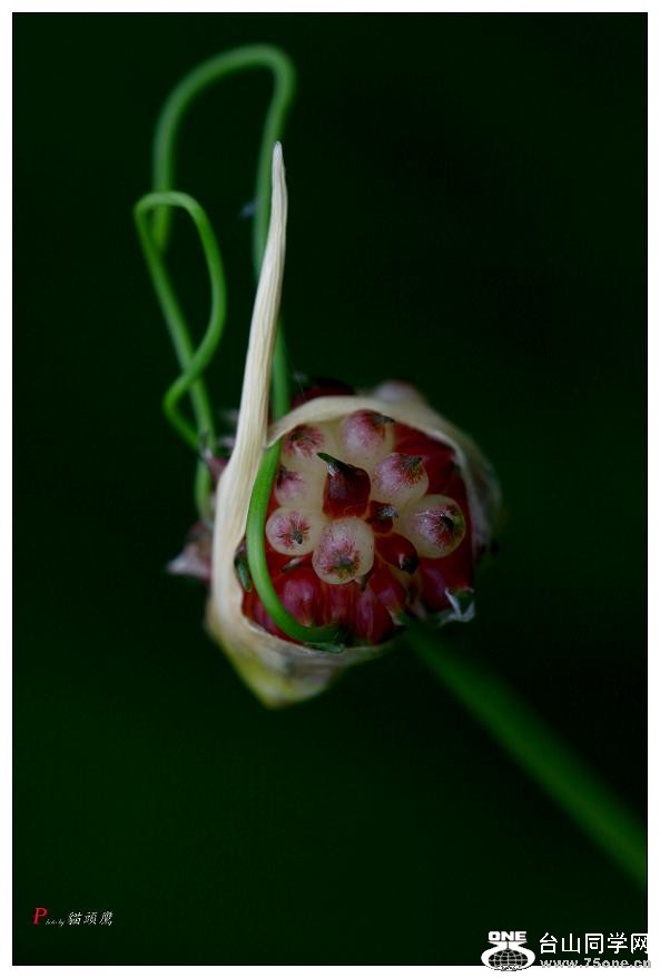 }u -ֻ߽-2 192-a.jpg