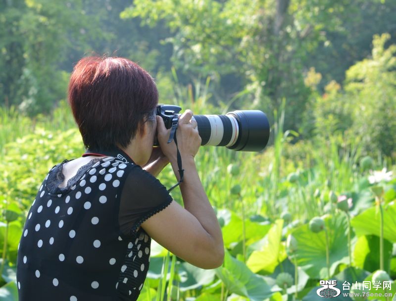 6-21-2012 Flowers 294.jpg