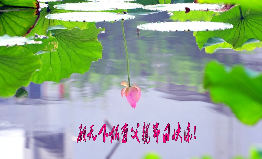 DSC_2182_conew1.jpg