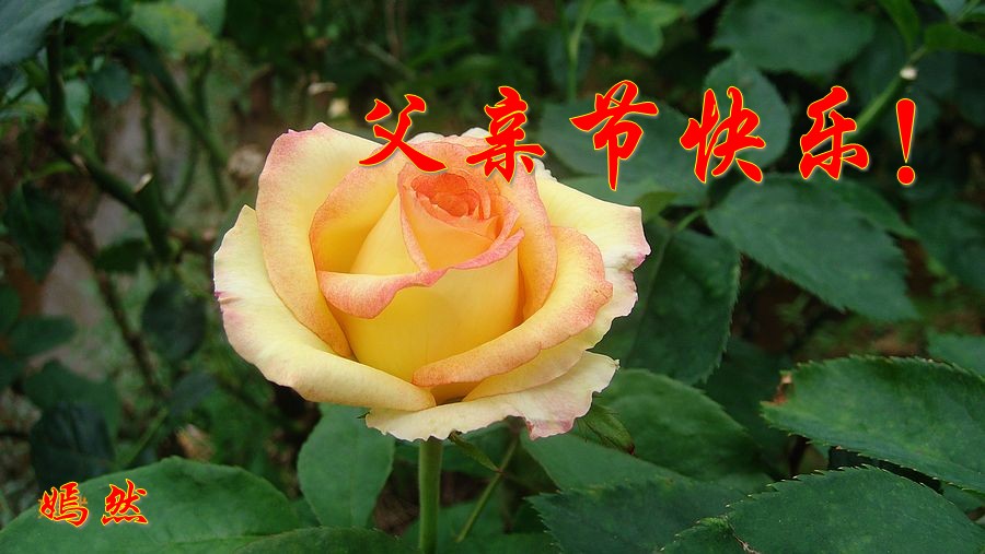 DSC03095_conew1.jpg