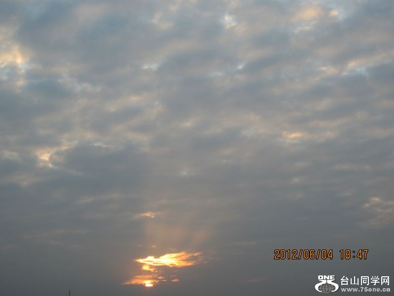 IMG_1546.jpg