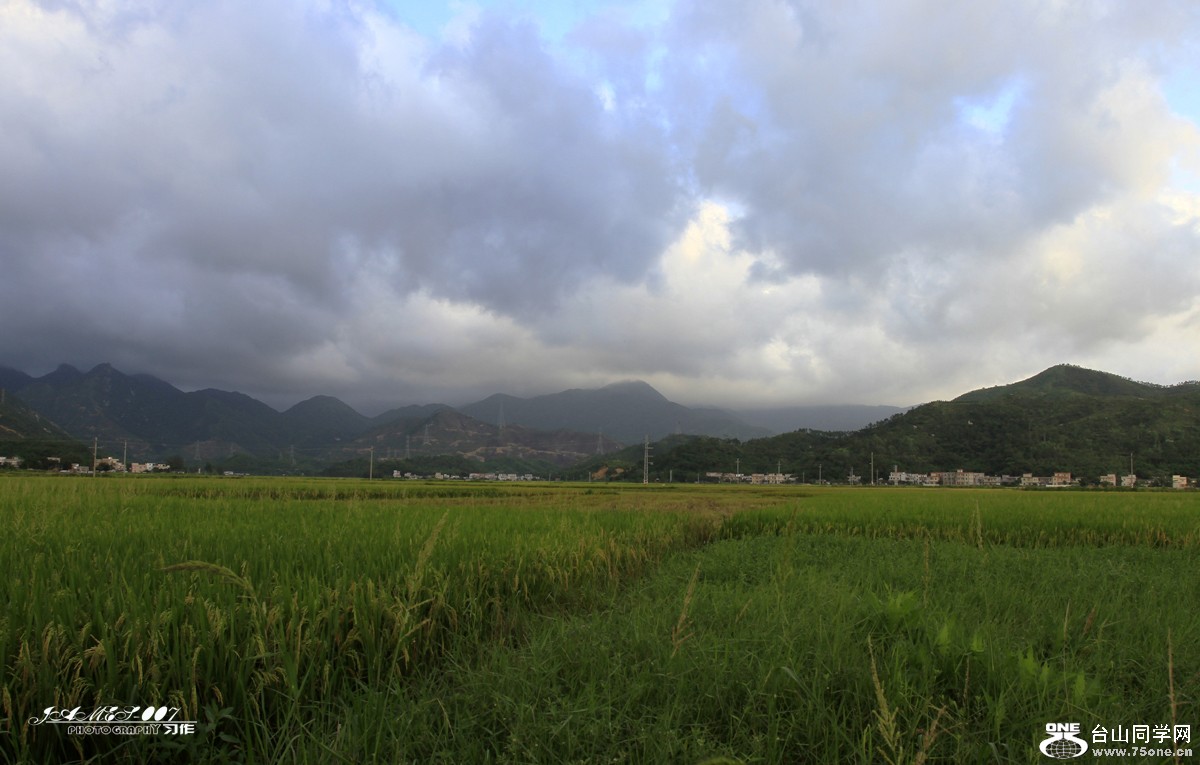 _MG_7727.JPG