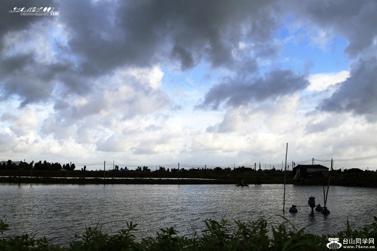 _MG_7684.JPG