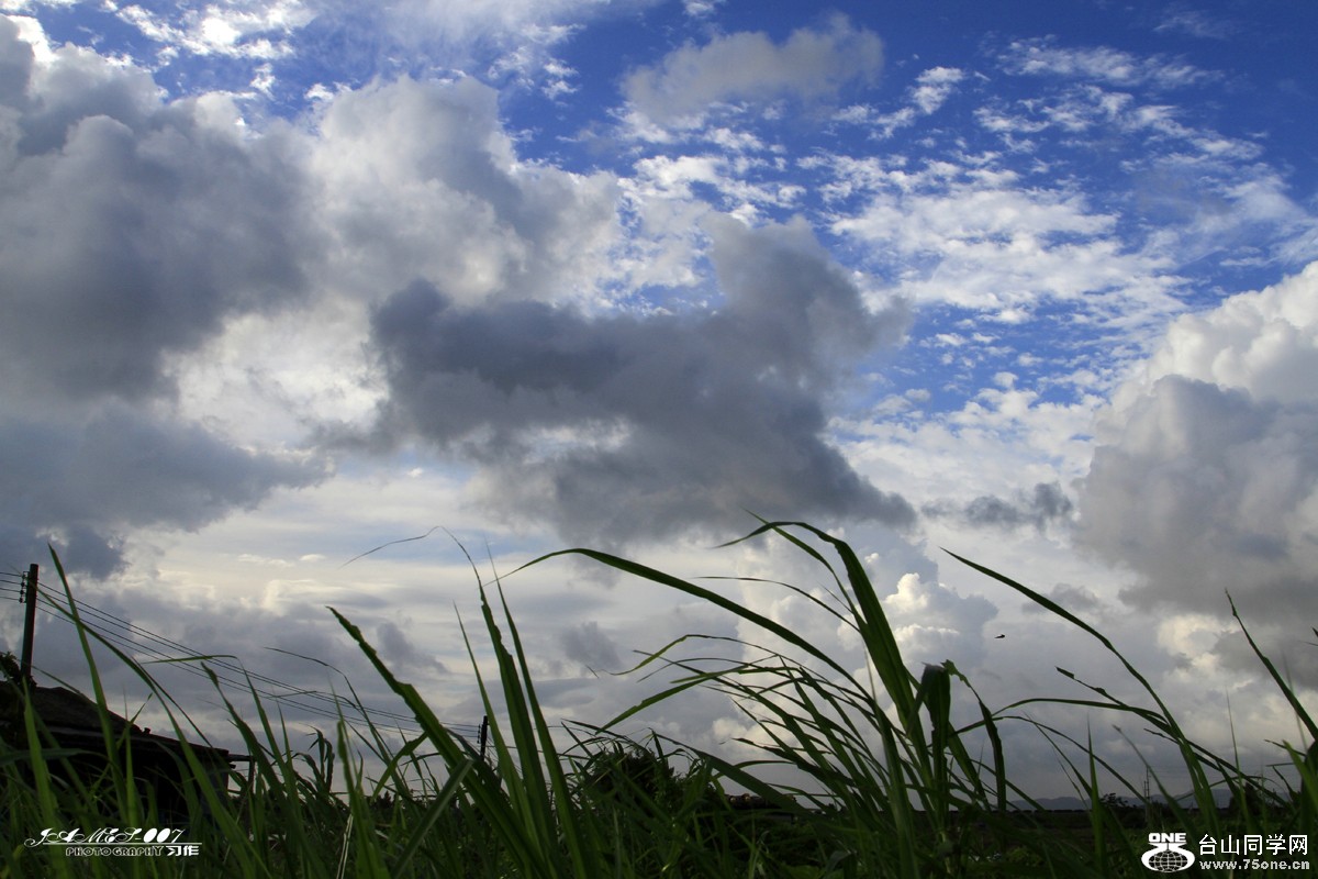 _MG_7716.JPG