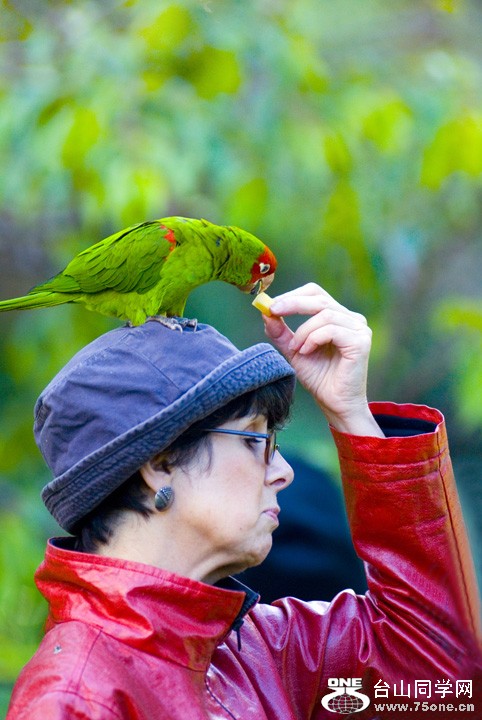 DSC_4329A.jpg