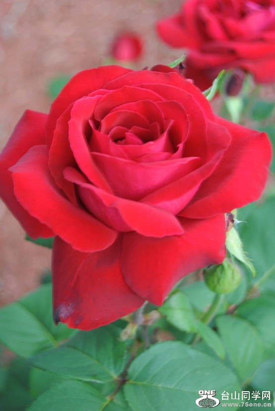 DSC_3489.JPG