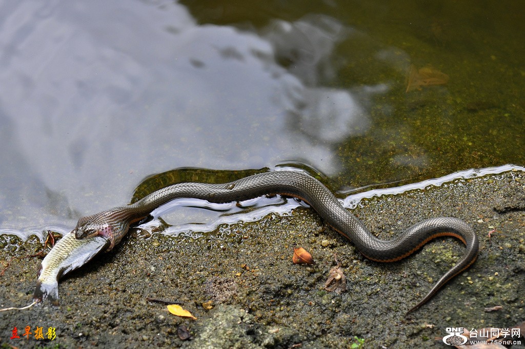 DSC_0051.JPG