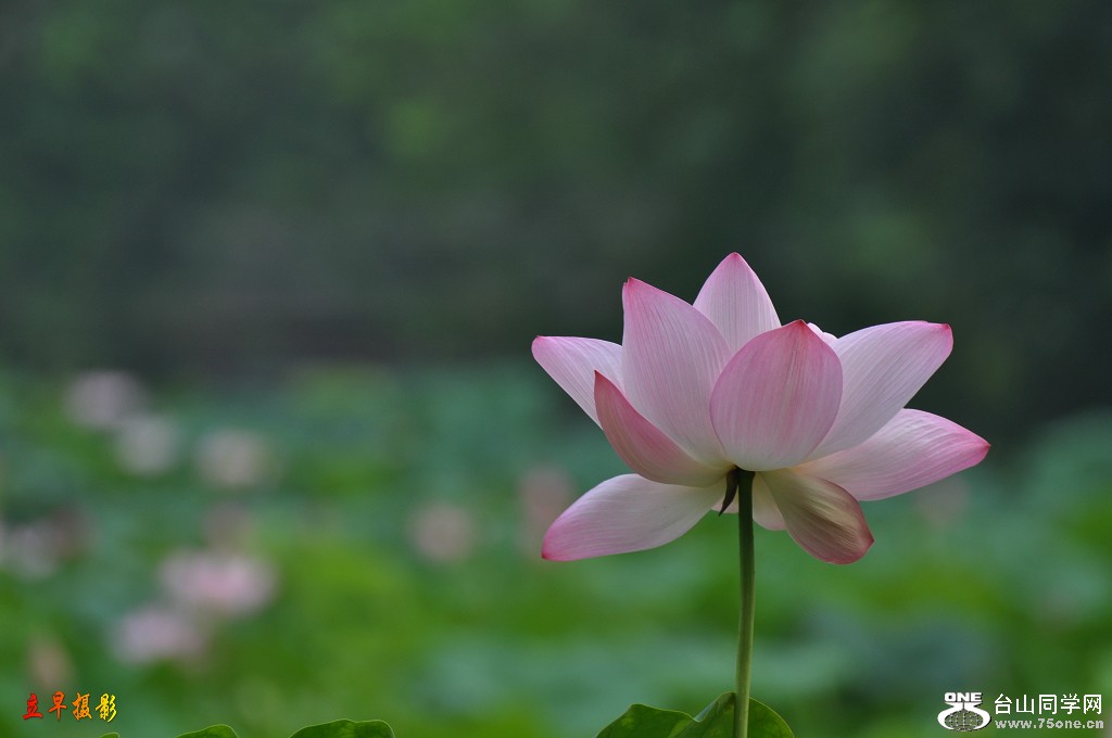 DSC_0180.JPG