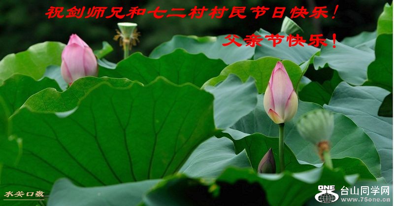 201106261654157673-233620t_.jpg