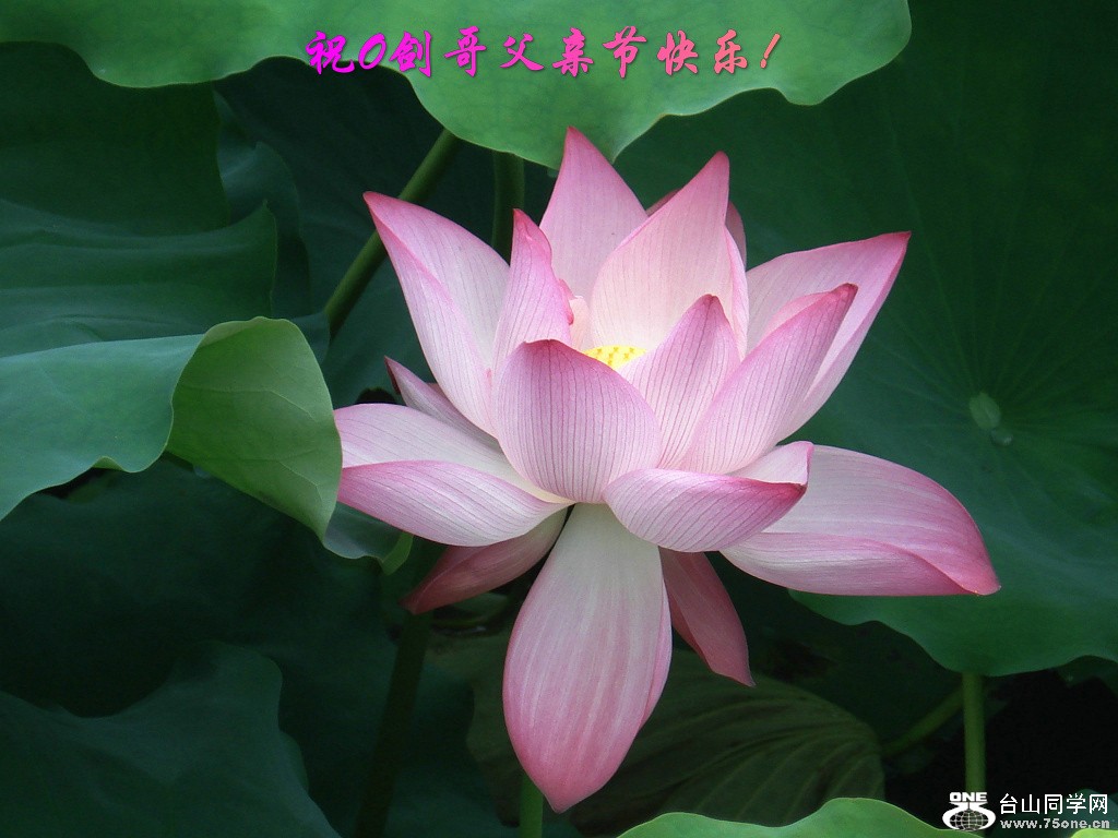 DSC00030.jpg