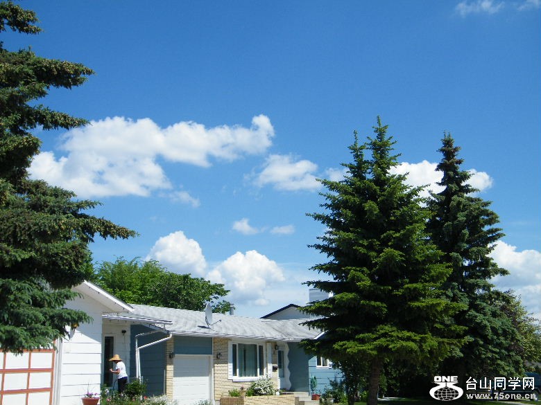 DSCF0247.JPG