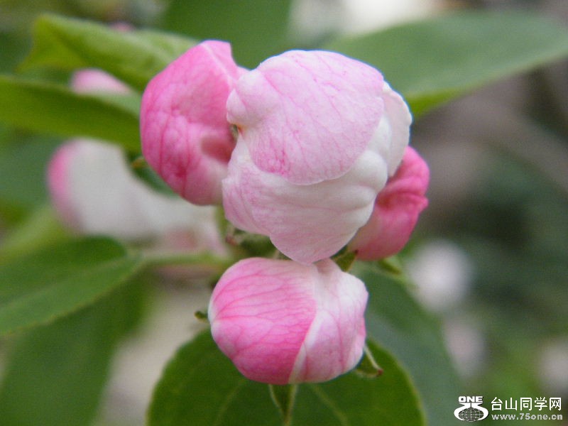 DSCF4177.JPG