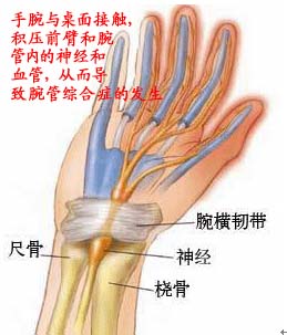 median nerve.jpg