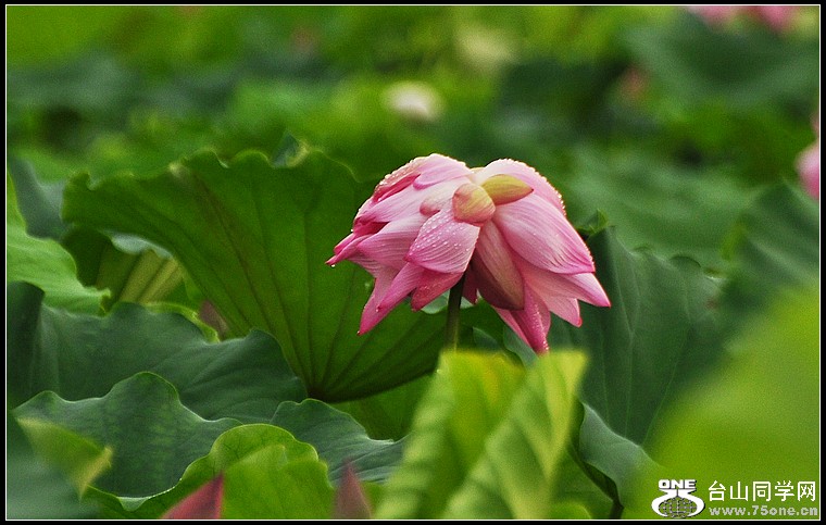 DSC_0329.JPG