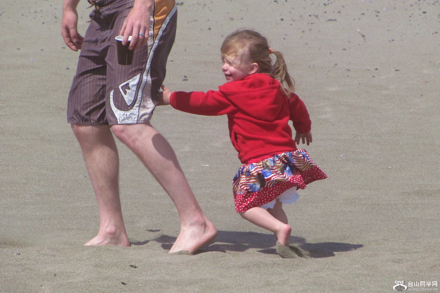 img_1115_6.jpg