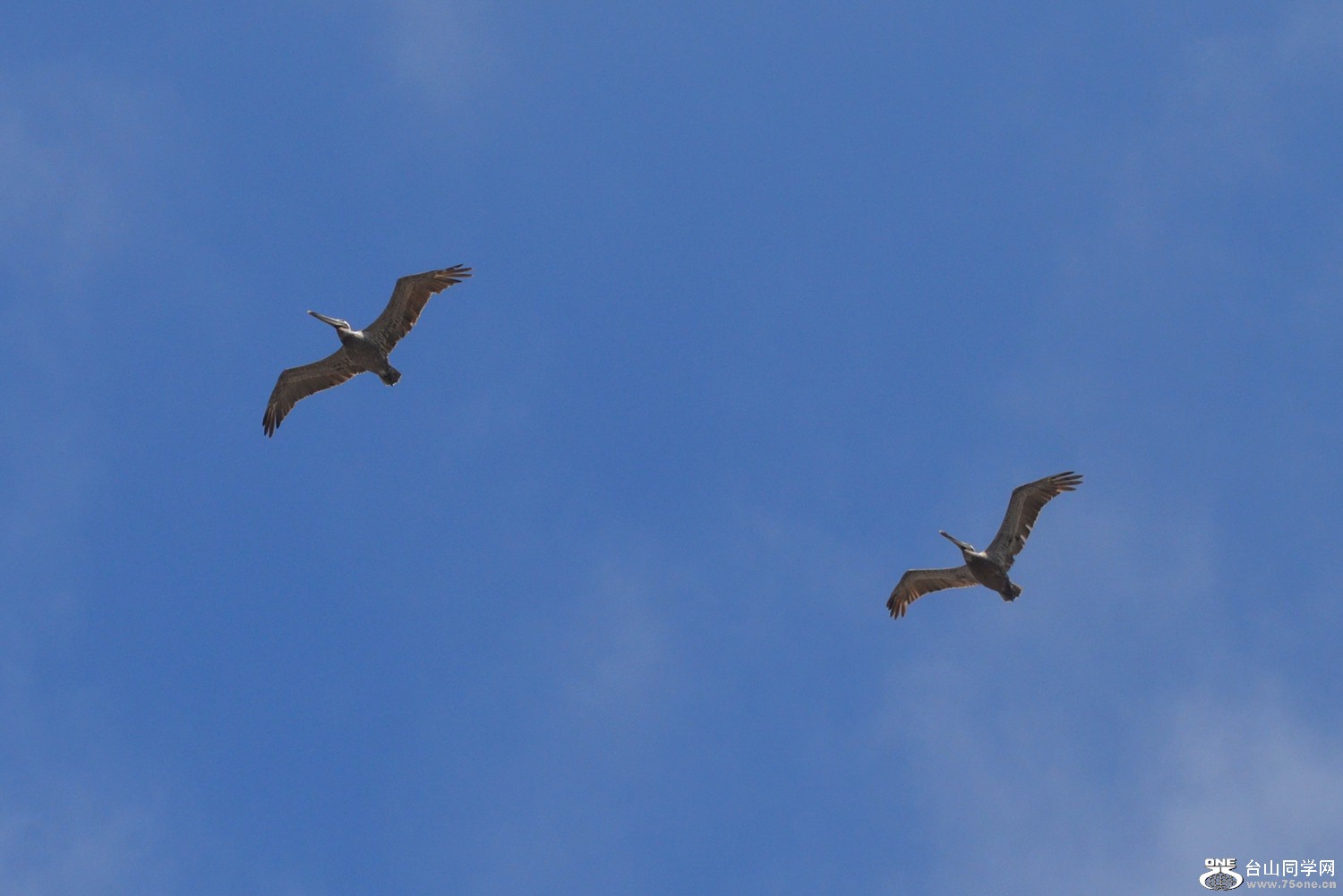 dsc_0328_23.jpg