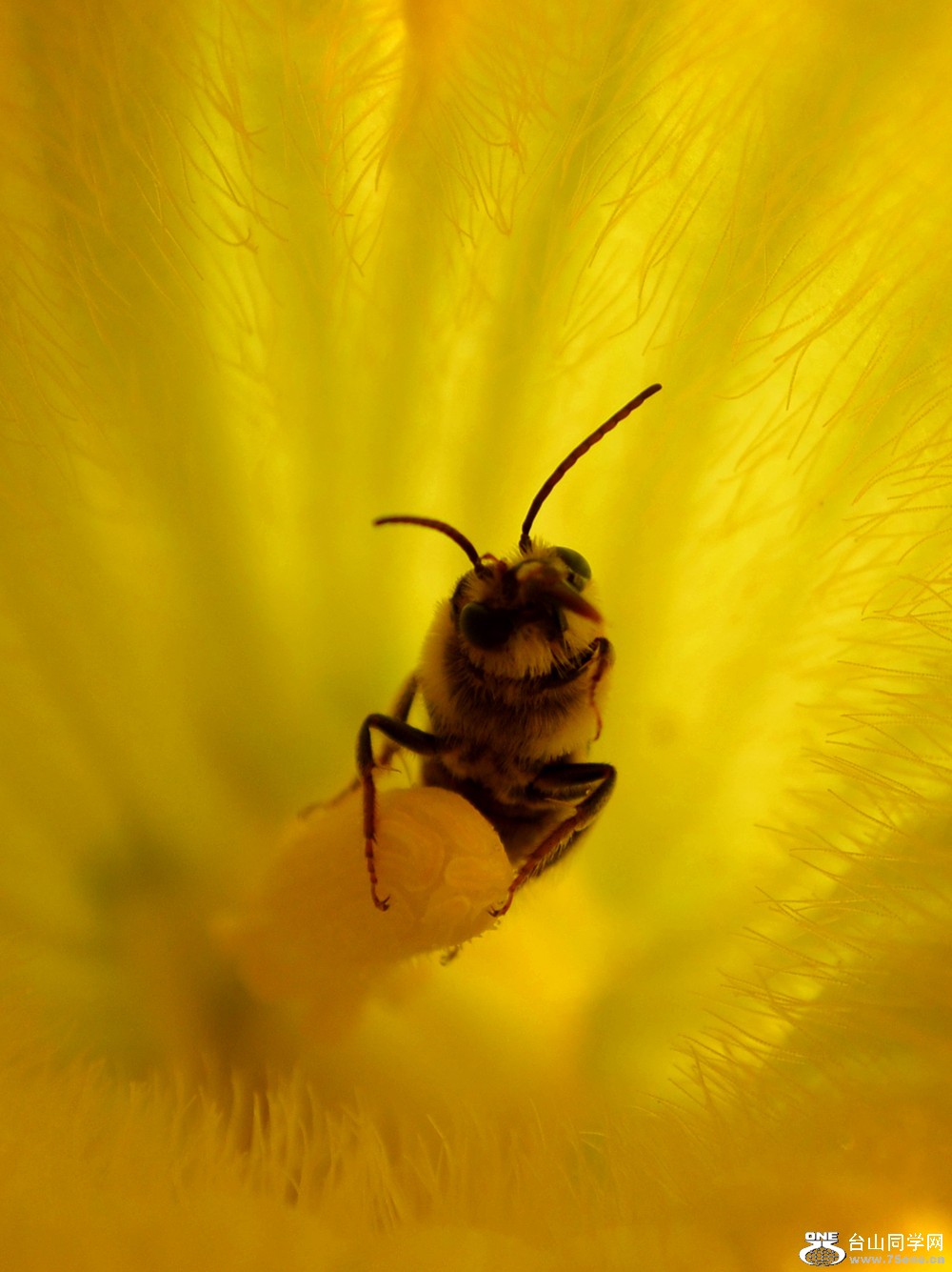 dsc_0424_10.jpg