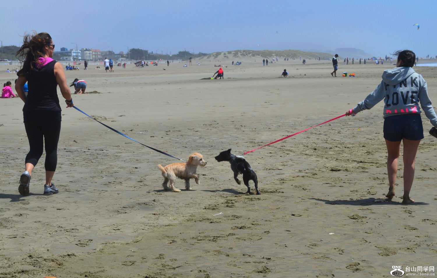 dsc_0284_29.jpg