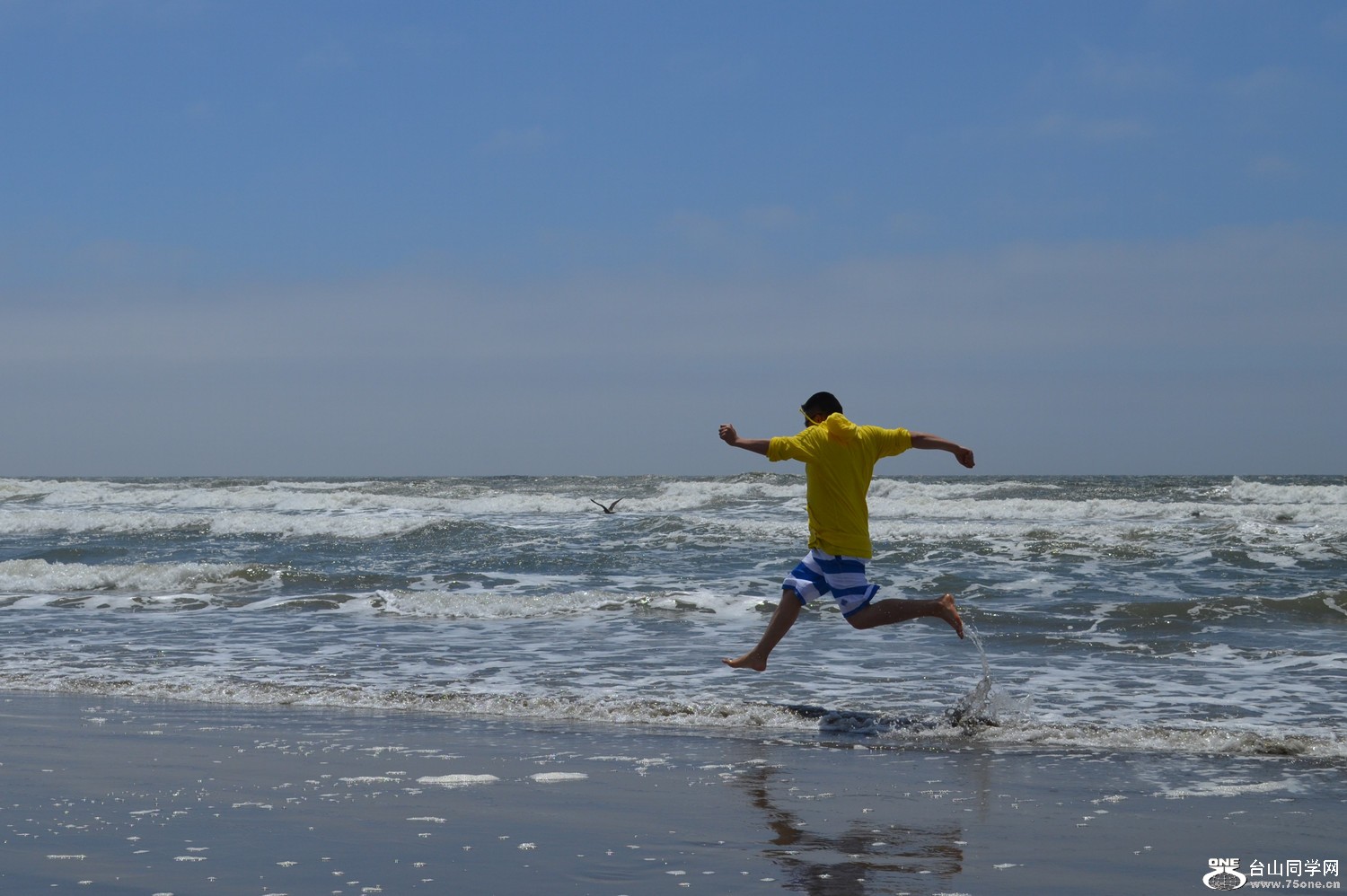 dsc_0033_58.jpg