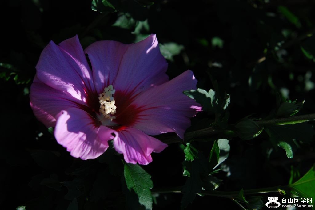 nEO_IMG_DSC_0759.jpg