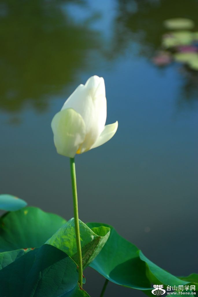 nEO_IMG_DSC_0266.jpg