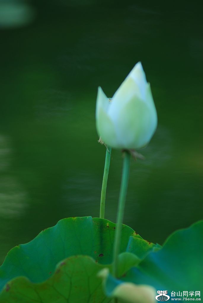 nEO_IMG_DSC_0314.jpg