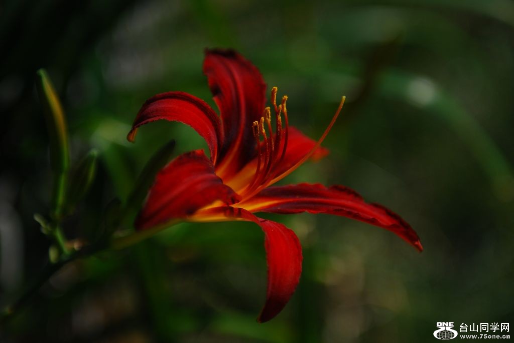 nEO_IMG_DSC_0727.jpg