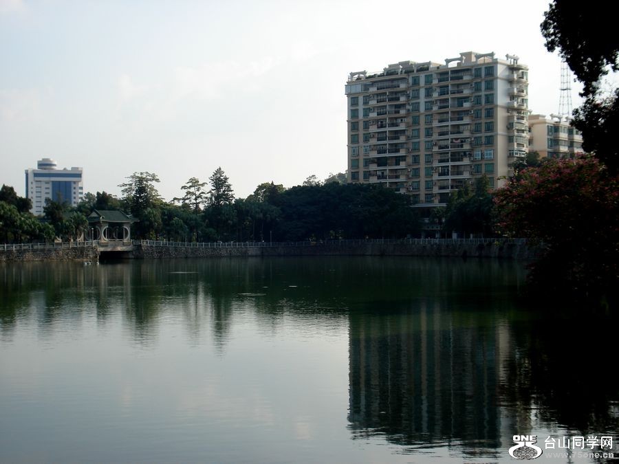 DSC05533.jpg