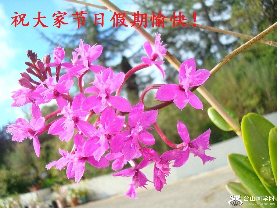 DSC05308-dz.jpg