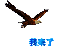 00003.gif