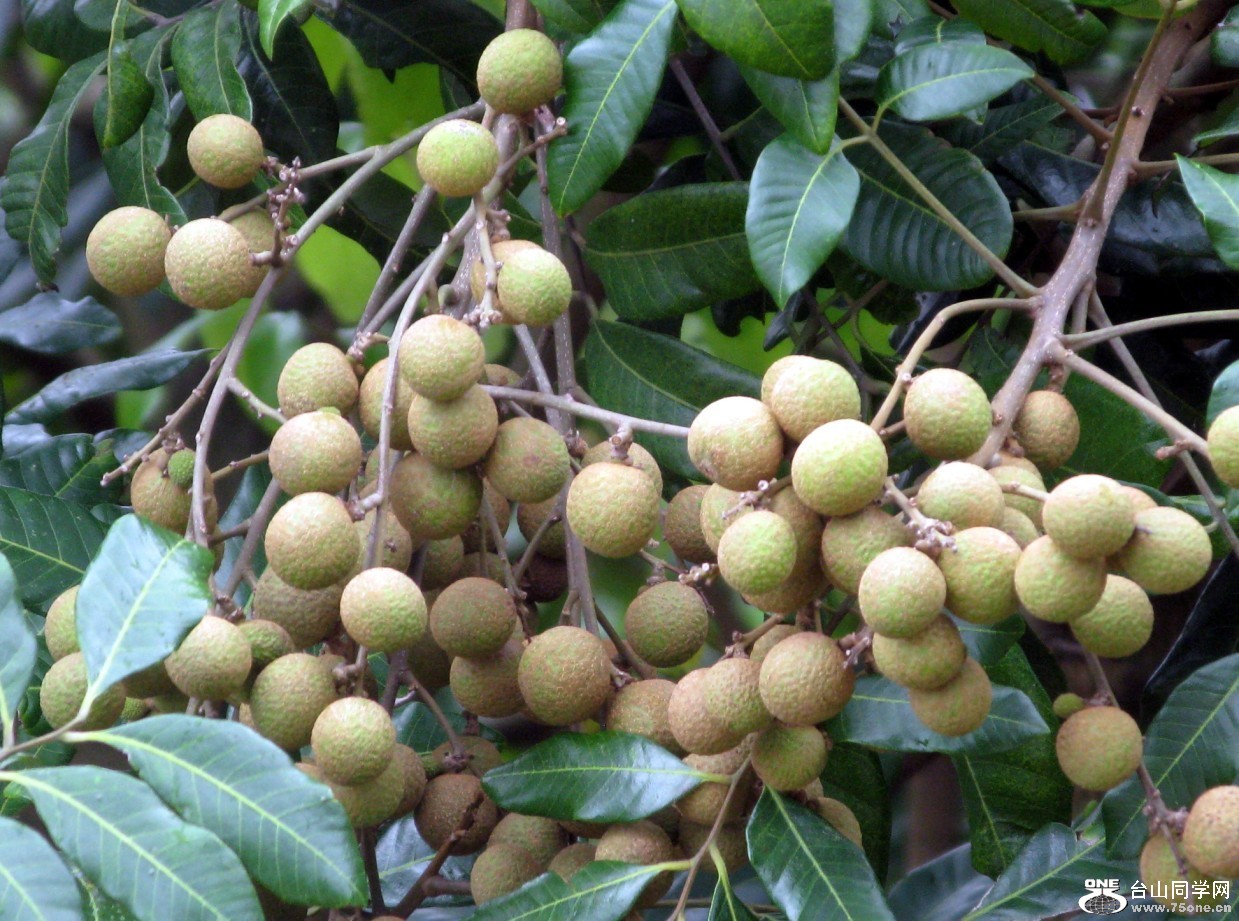 185.jpg